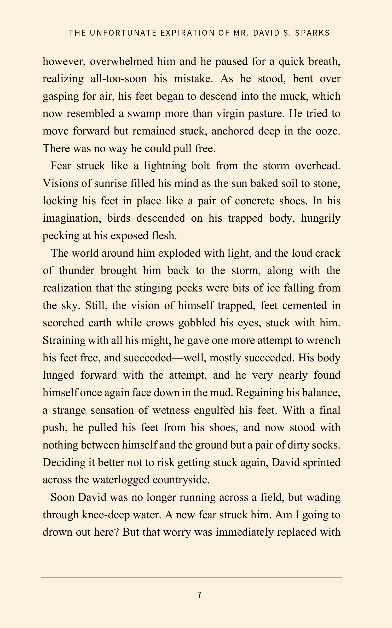 The Unfortunate Expiration of Mr. David S. Sparks [Autographed]