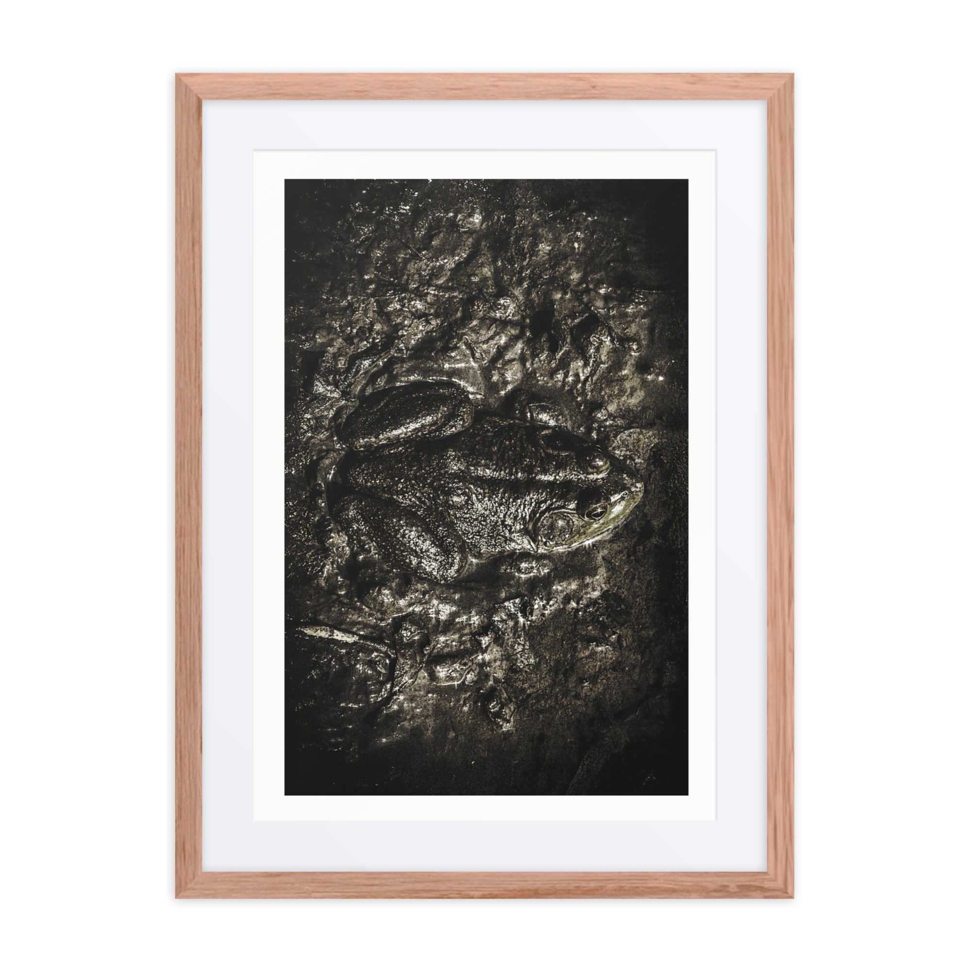 Awakening in the Mud – Bullfrog Fine Art Print (Framed) – William